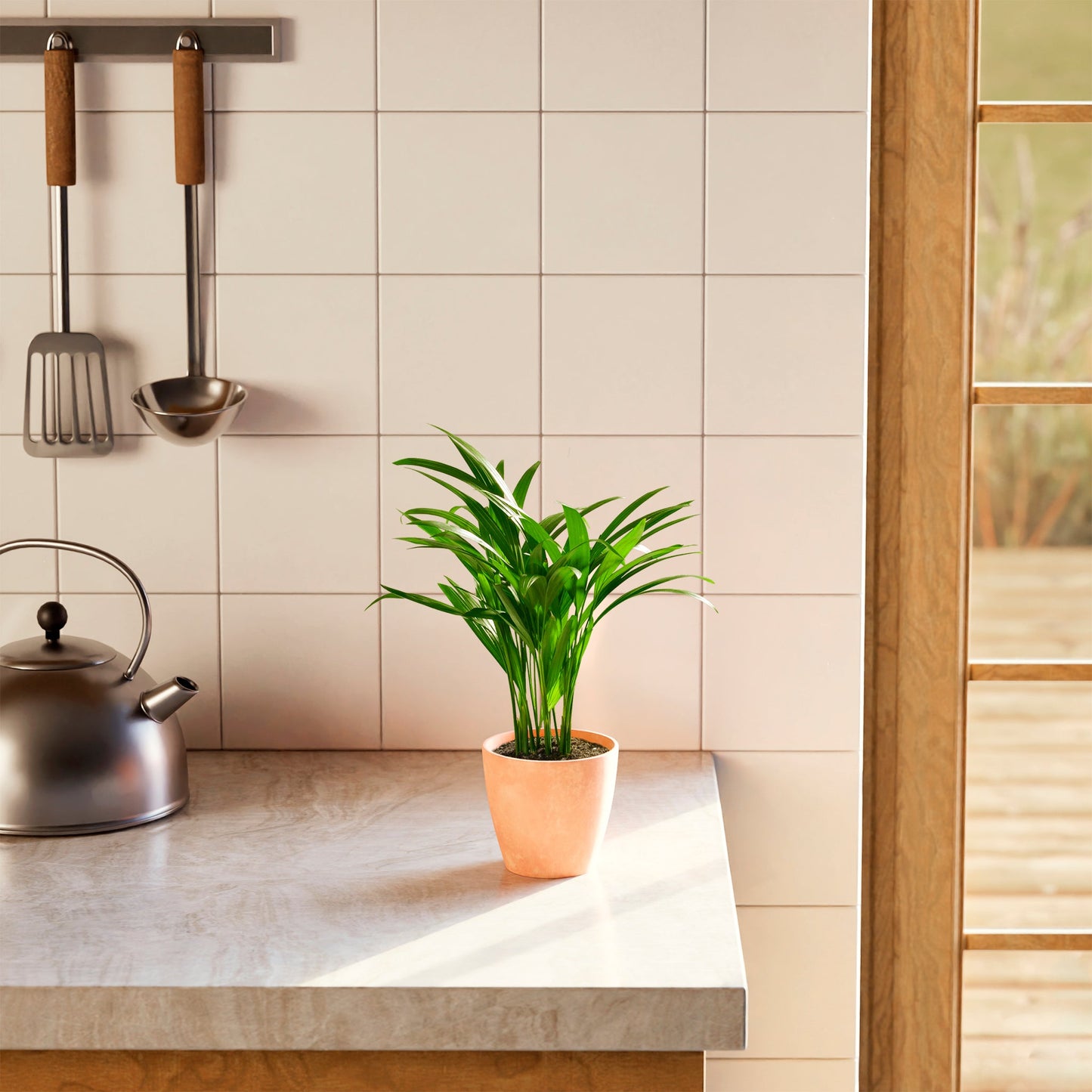 Lively Root - Areca Palm Indoor Tree