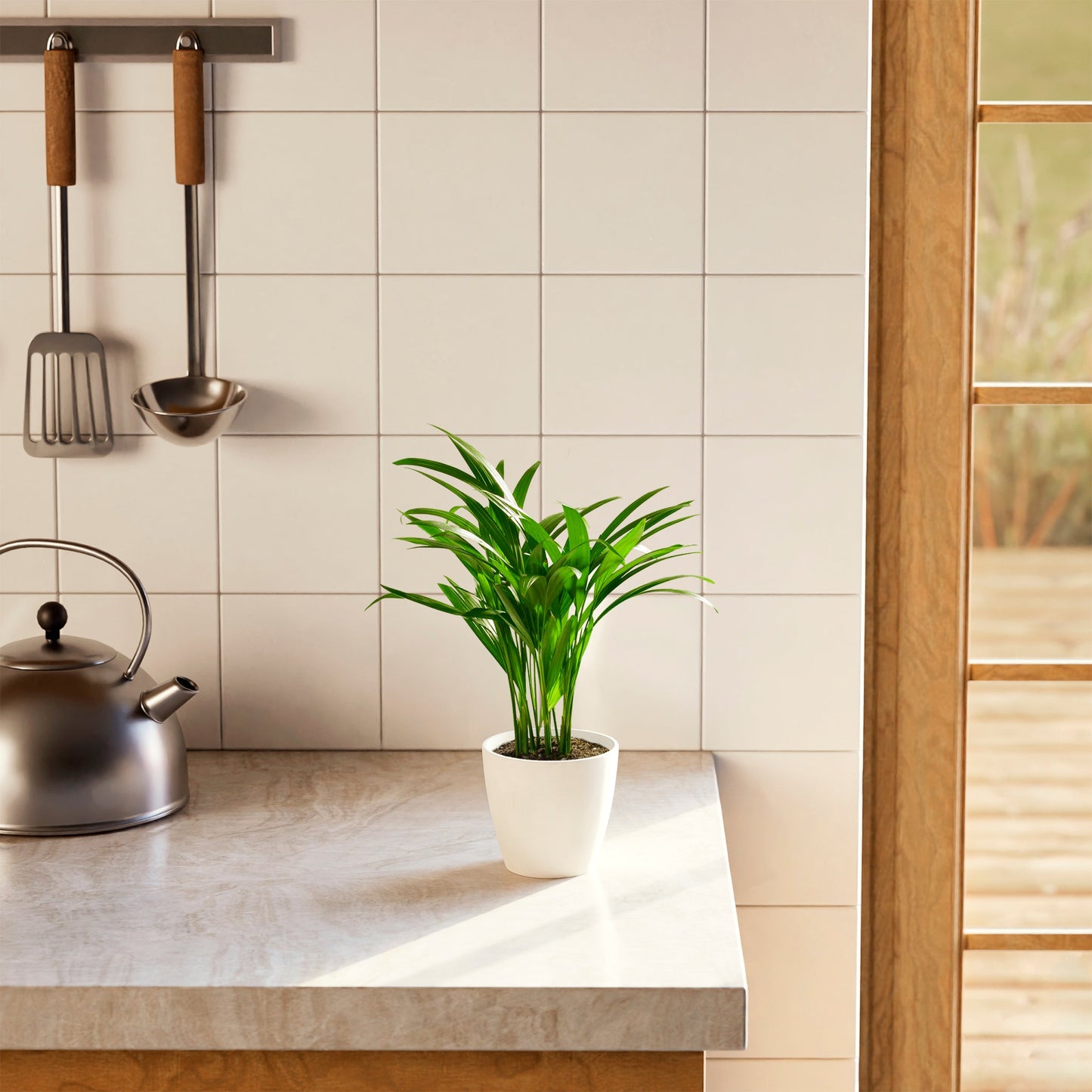 Lively Root - Areca Palm Indoor Tree