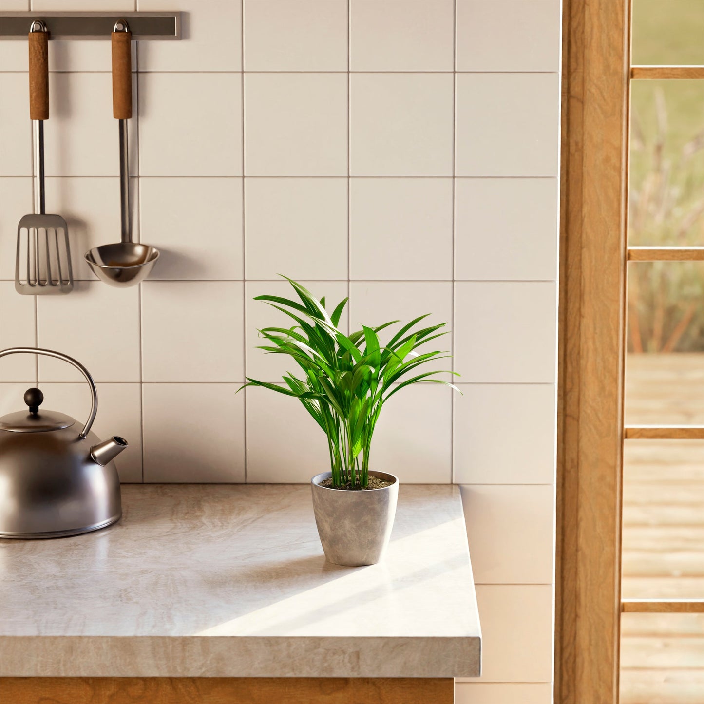 Lively Root - Areca Palm Indoor Tree