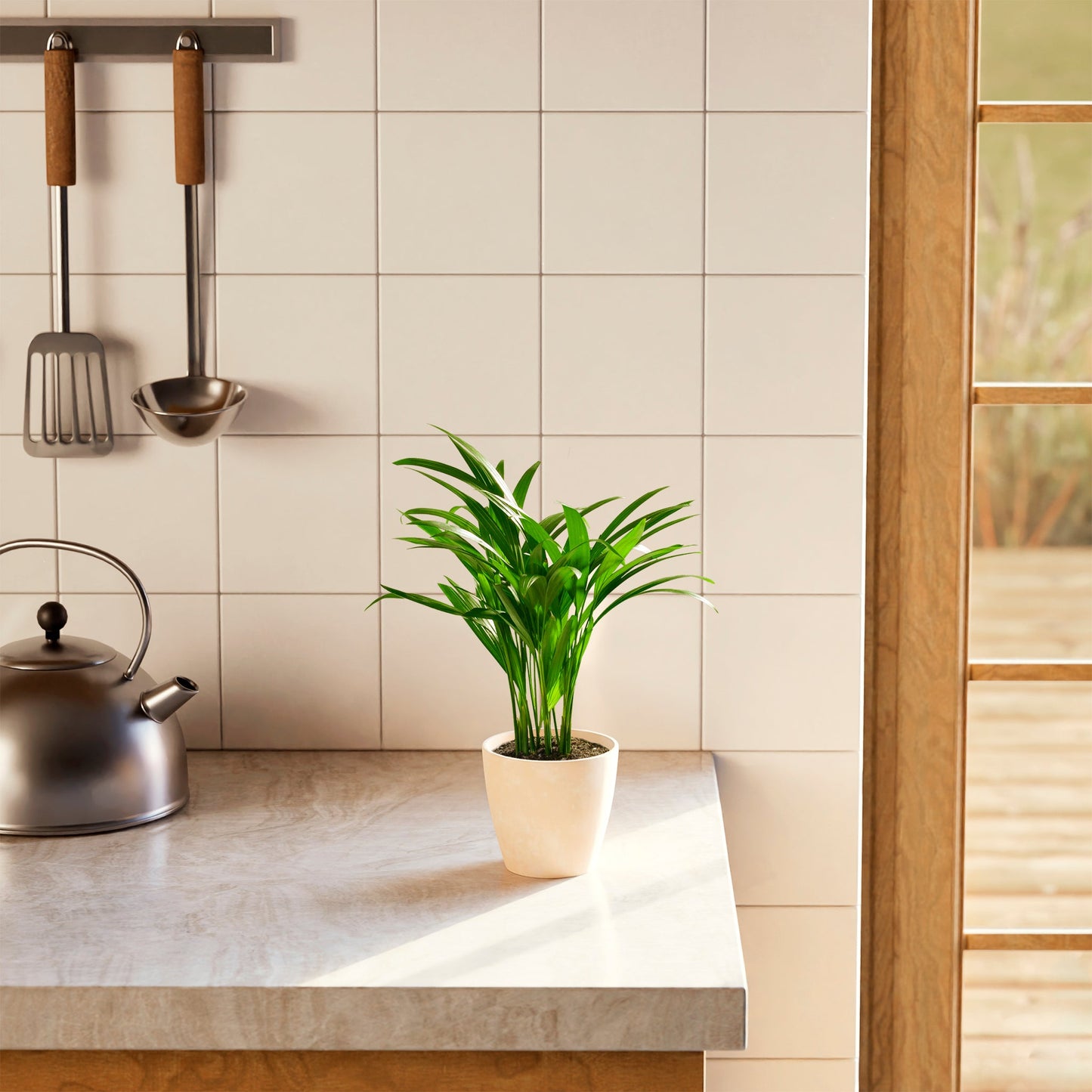 Lively Root - Areca Palm Indoor Tree