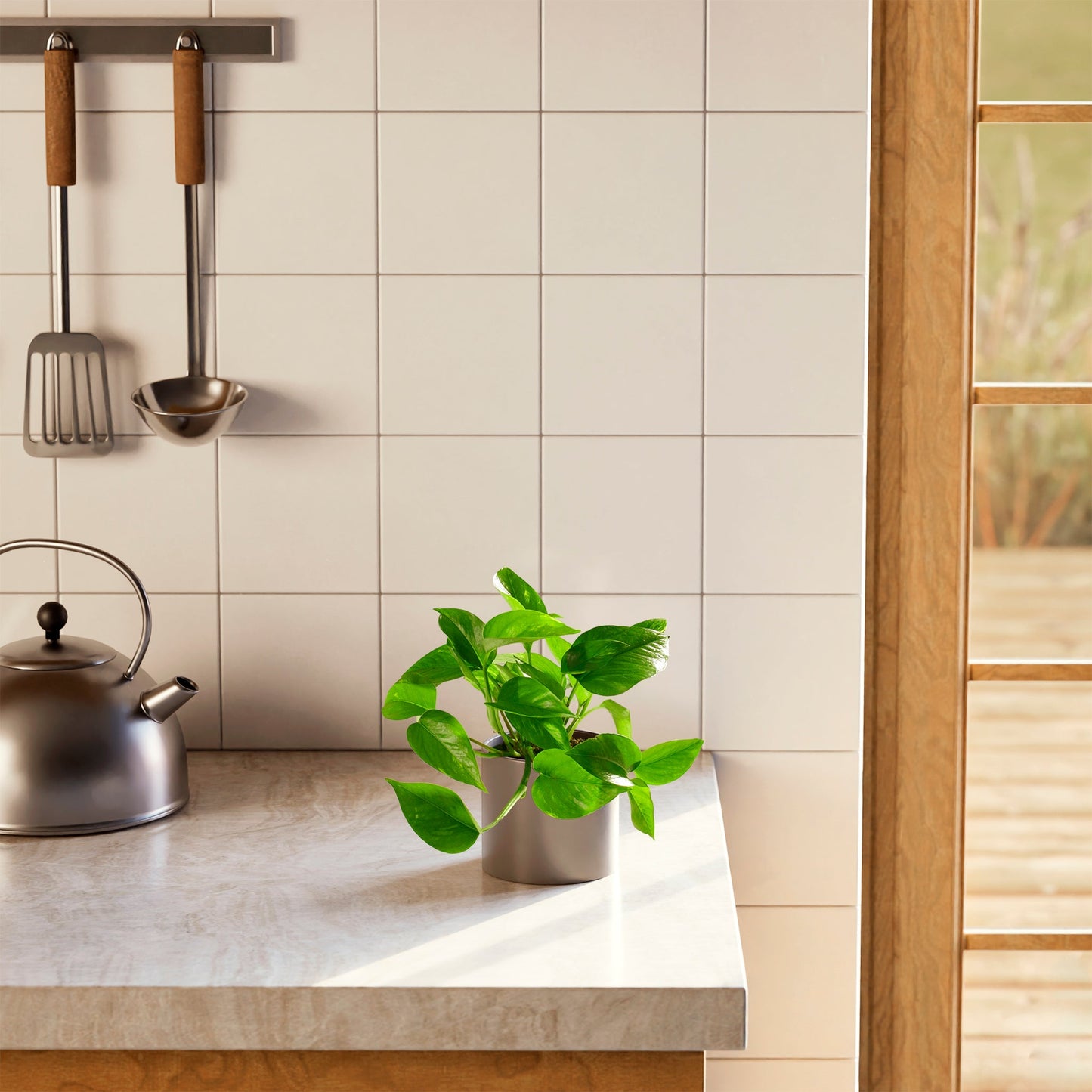 Lively Root - Golden Pothos Plant