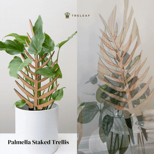 Wholesale Partner: Treleaf - Palmella - Plant trellis inspired by the Palm Leaf