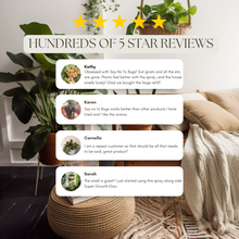 Load image into Gallery viewer, Wholesale Partner - Urban Gardener - Say No To Bugs - Natural Insect Treatment
