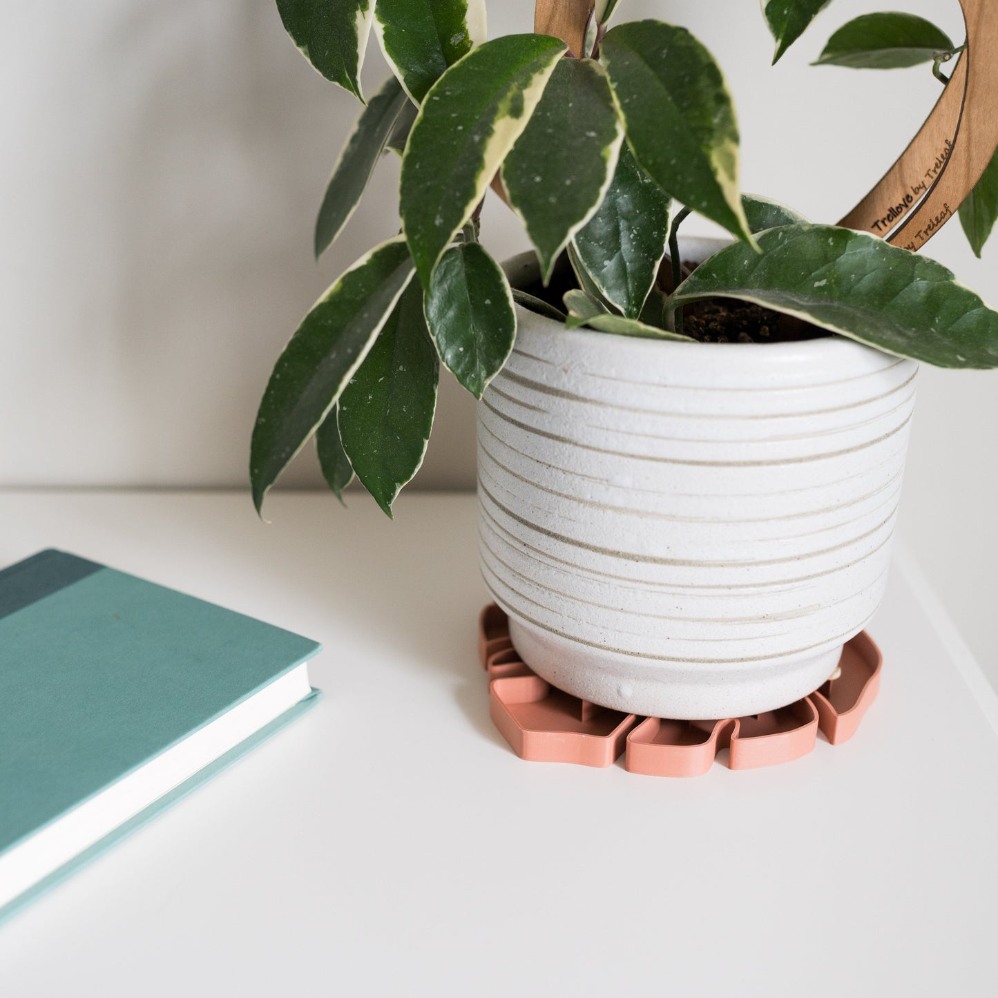 Wholesale Partner: Treleaf - Tera Sausr - Leaf-shaped Pot Saucer - Drip tray for houseplants - Humidity tray