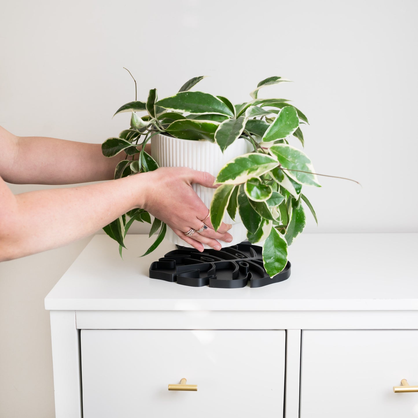 Wholesale Partner: Treleaf - Tera Sausr - Leaf-shaped Pot Saucer - Drip tray for houseplants - Humidity tray