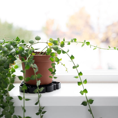 drip trays for indoor plants Wholesale Partner: Treleaf - Tera Sausr - Leaf-shaped Pot Saucer