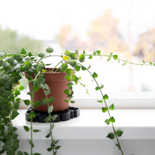 Load image into Gallery viewer, Wholesale Partner: Treleaf - Tera Sausr - Leaf-shaped Pot Saucer - Drip tray for houseplants - Humidity tray
