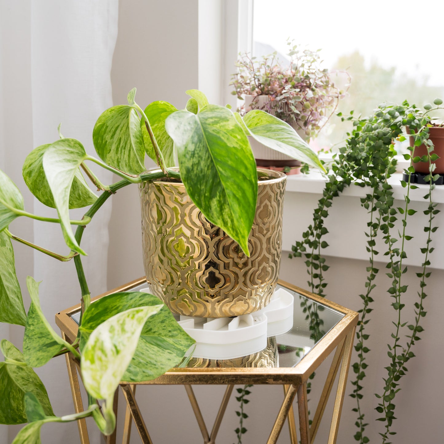 Wholesale Partner: Treleaf - Tera Sausr - Leaf-shaped Pot Saucer - Drip tray for houseplants - Humidity tray