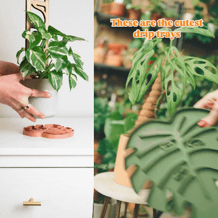 Wholesale Partner: Treleaf - Tera Sausr - Leaf-shaped Pot Saucer - Drip tray for houseplants - Humidity tray