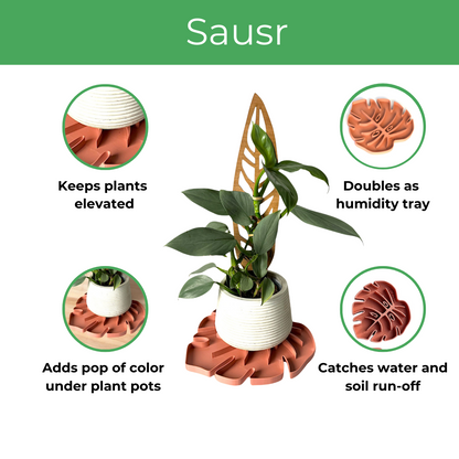 Wholesale Partner: Treleaf - Tera Sausr - Leaf-shaped Pot Saucer - Drip tray for houseplants - Humidity tray