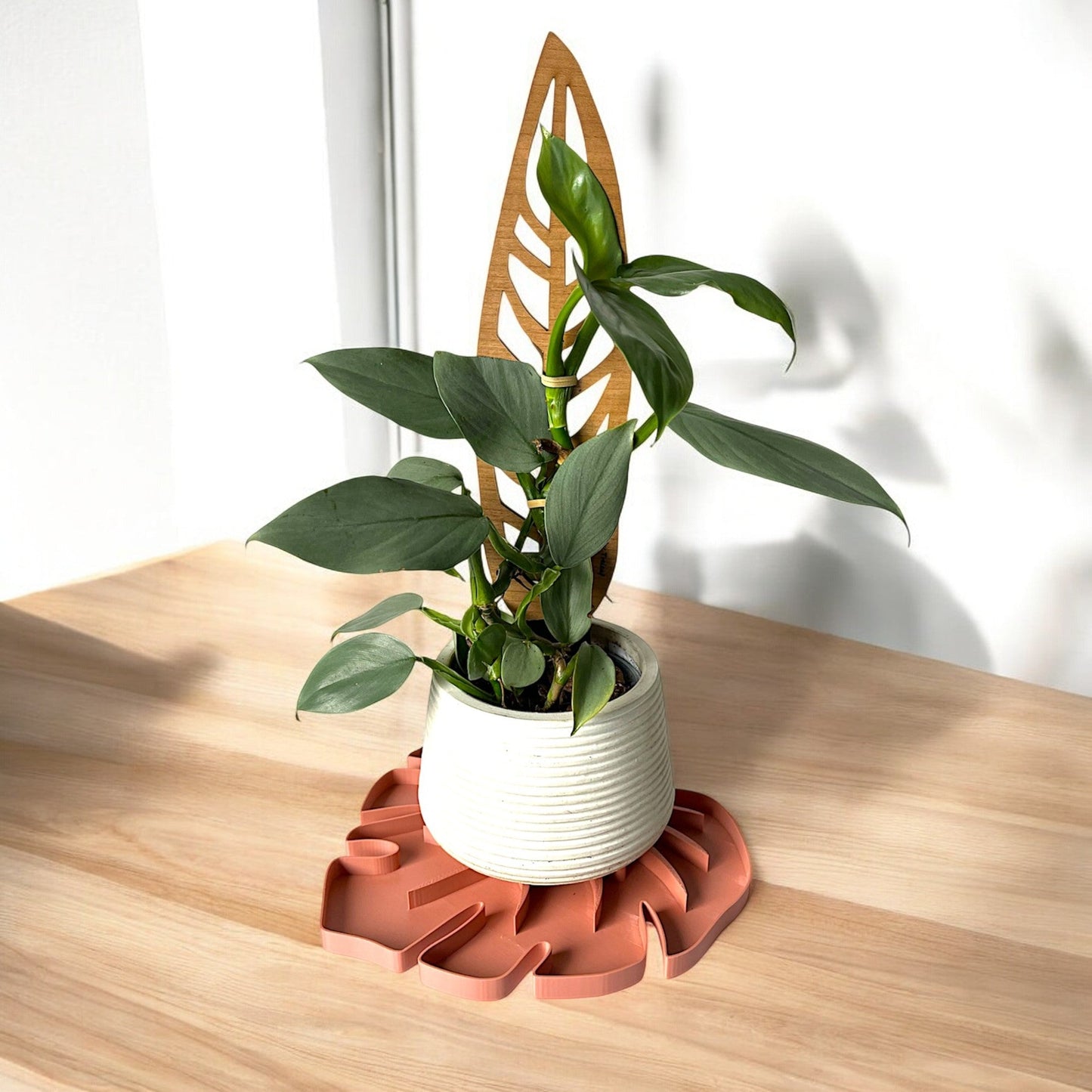 Wholesale Partner: Treleaf - Tera Sausr - Leaf-shaped Pot Saucer - Drip tray for houseplants - Humidity tray