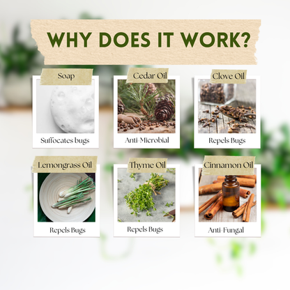 Wholesale Partner: Urban Gardener - Say No To Bugs - Natural Insect Treatment