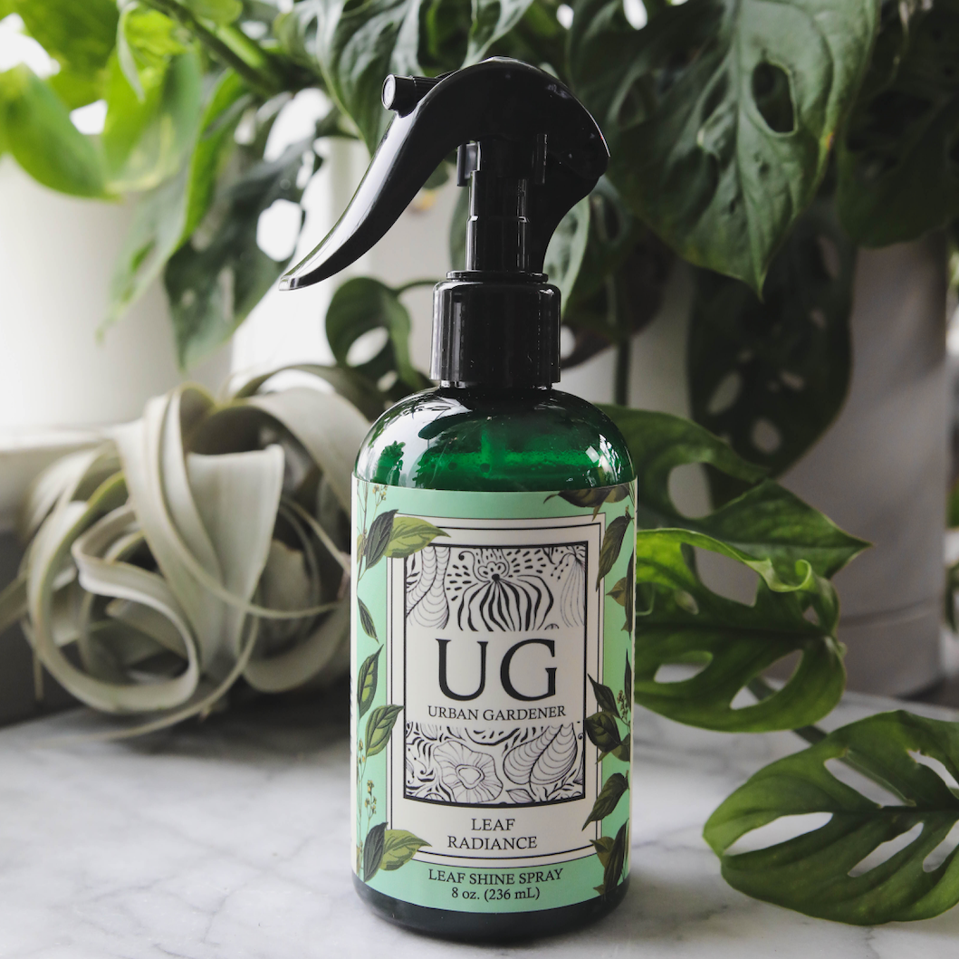 Wholesale Partner: Urban Gardener - Leaf Radiance - Cleaner, Conditioner, Shine
