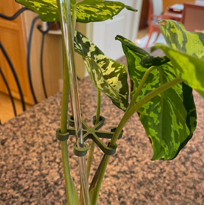 Wholesale Partner: Rosebud HomeGoods - Plant Stem Supports