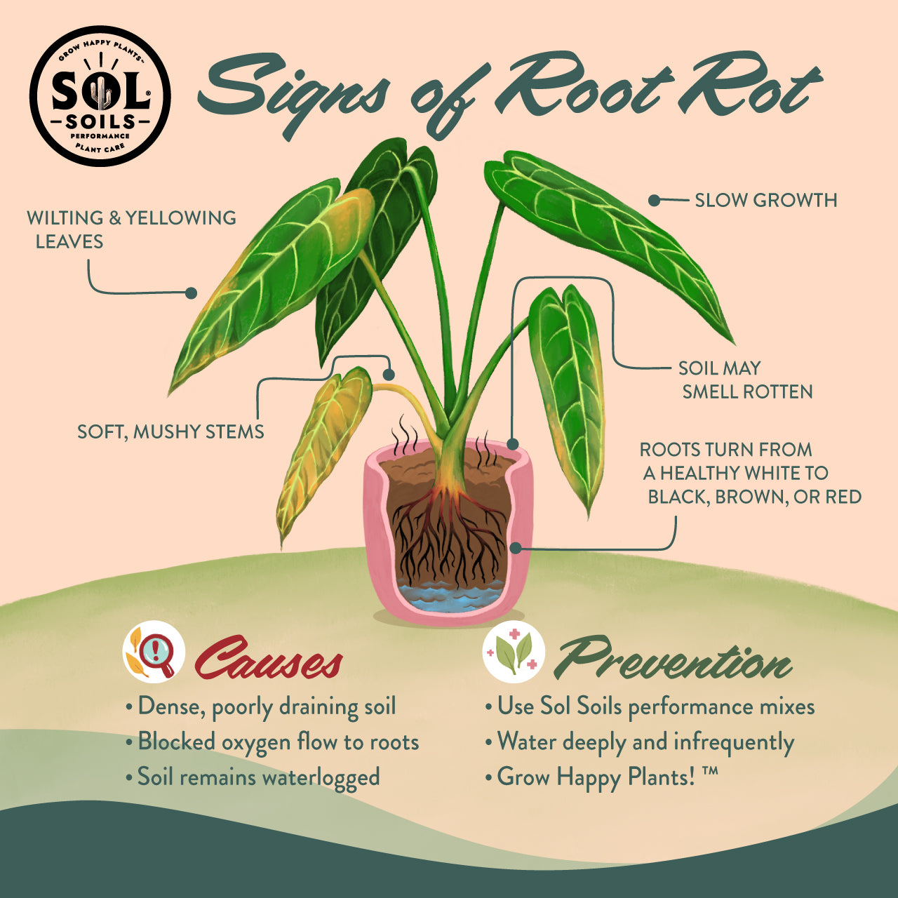 Houseplant Chunky Mix – Sol Soils