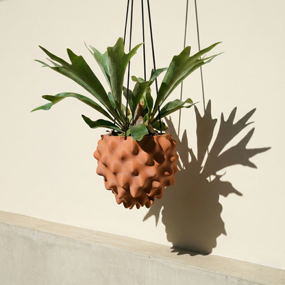Wholesale Partner: Rosebud HomeGoods - The Creature Orb Hanging Planter Pot With Drainage