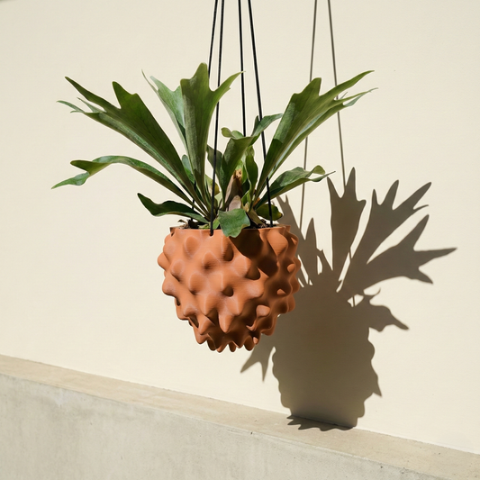 Wholesale Partner: Rosebud HomeGoods - The Creature Orb Hanging Planter Pot With Drainage