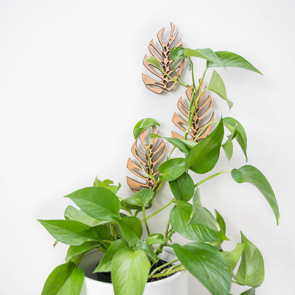 Wholesale Partner: Treleaf - Monstrella - Wall Mounted