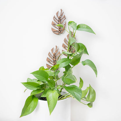 Wholesale Partner: Treleaf - Monstrella - Wall Mounted