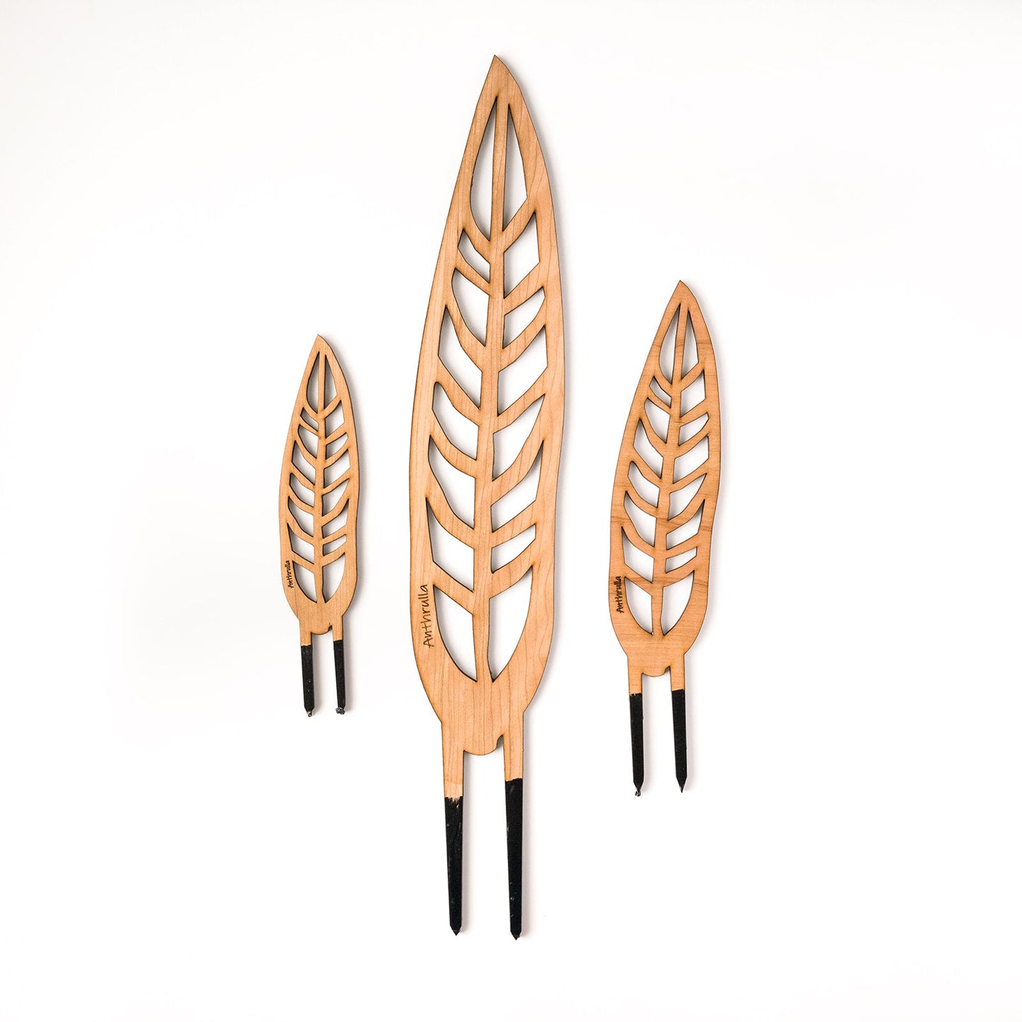 Wholesale Partner: Treleaf - Anthrulla - Plant trellis inspired by the Queen Anthurium
