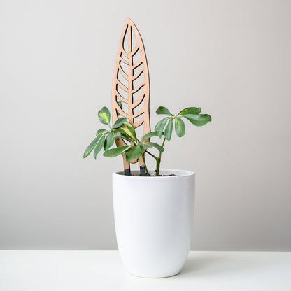 Wholesale Partner: Treleaf - Anthrulla - Plant trellis inspired by the Queen Anthurium