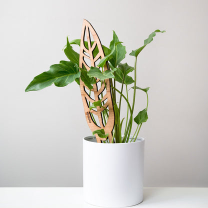 Wholesale Partner: Treleaf - Anthrulla - Plant trellis inspired by the Queen Anthurium