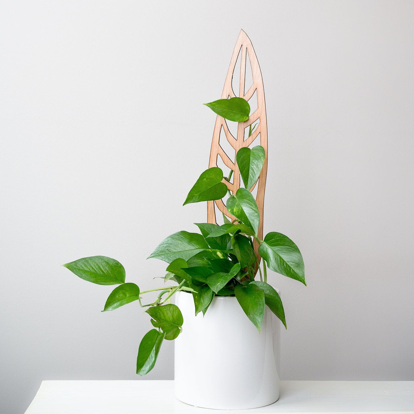 Wholesale Partner: Treleaf - Anthrulla - Plant trellis inspired by the Queen Anthurium