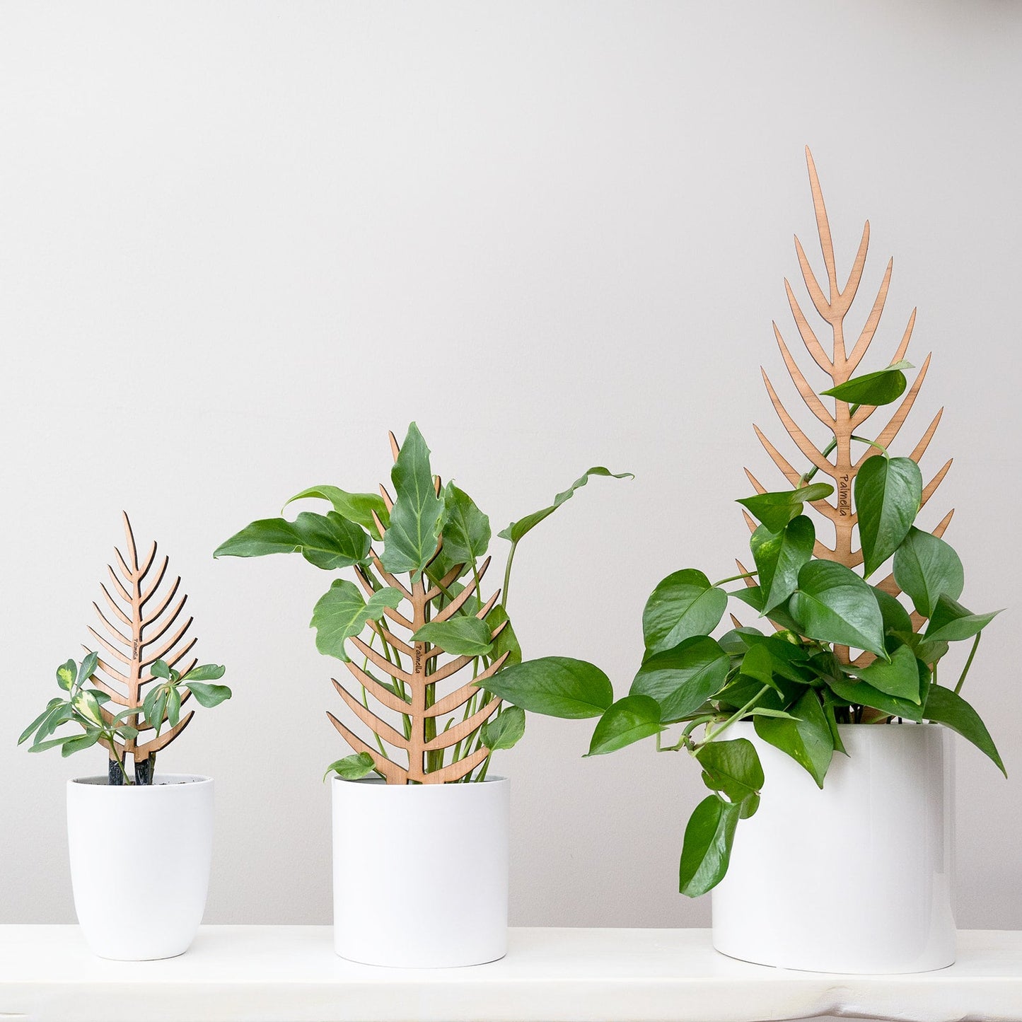 Wholesale Partner: Treleaf - Palmella - Plant trellis inspired by the Palm Leaf