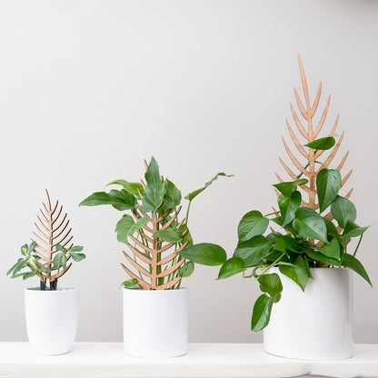 Wholesale Partner: Treleaf - Palmella - Plant trellis inspired by the Palm Leaf