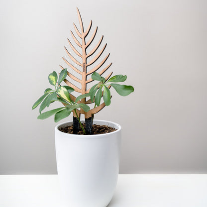 Wholesale Partner: Treleaf - Palmella - Plant trellis inspired by the Palm Leaf