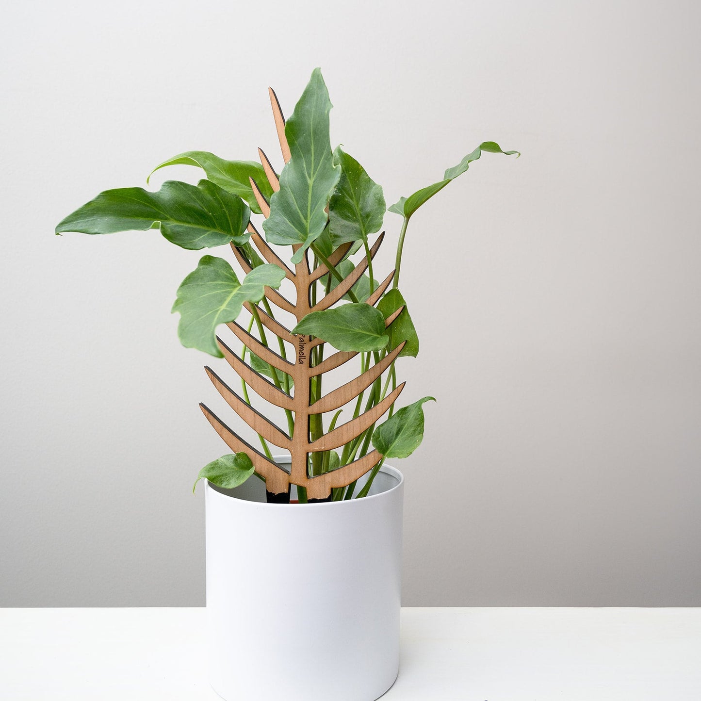 Wholesale Partner: Treleaf - Palmella - Plant trellis inspired by the Palm Leaf