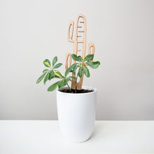 Load image into Gallery viewer, Wholesale Partner: Treleaf - Cactrella - Plant trellis inspired by the Barrel Cactus
