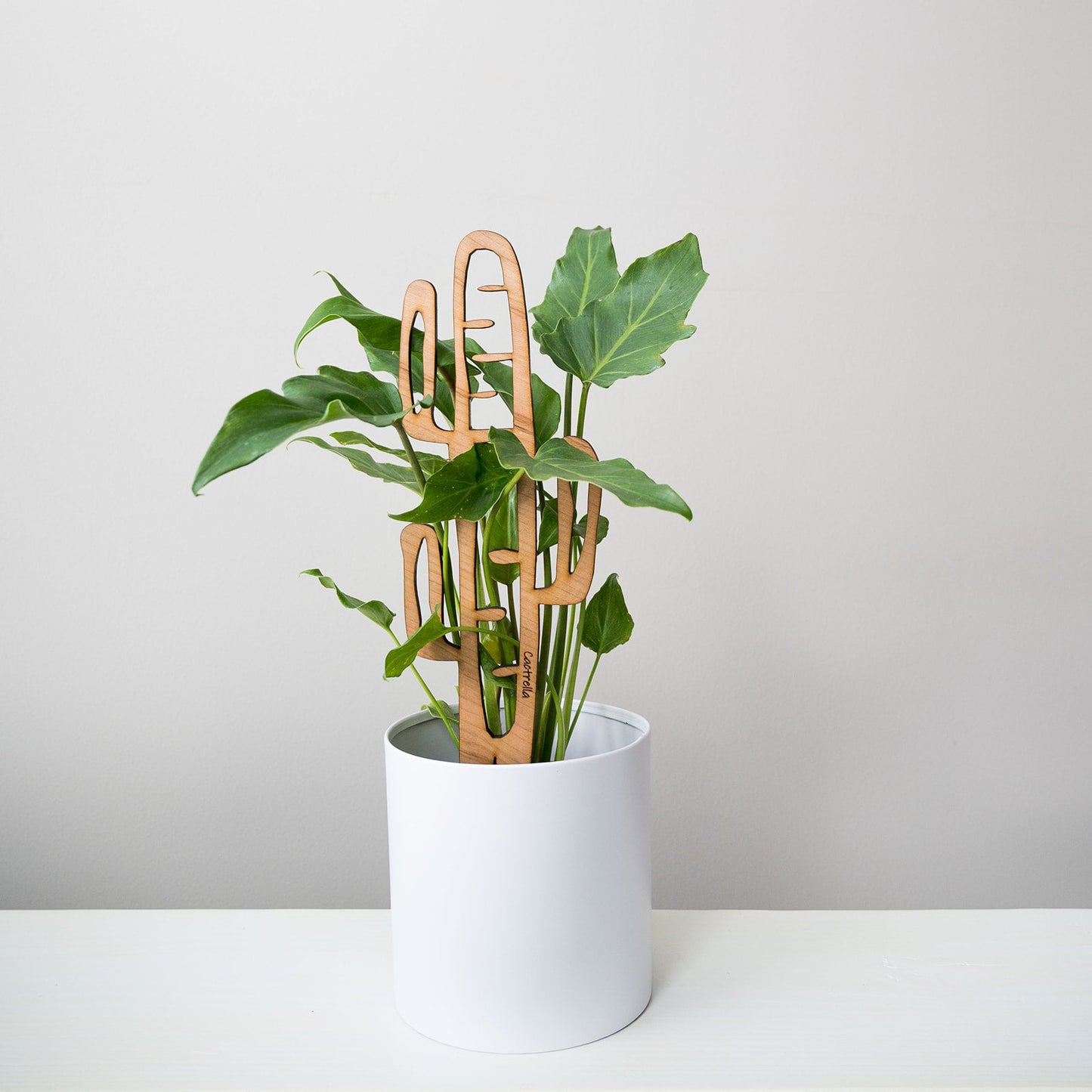 Wholesale Partner: Treleaf - Cactrella - Plant trellis inspired by the Barrel Cactus