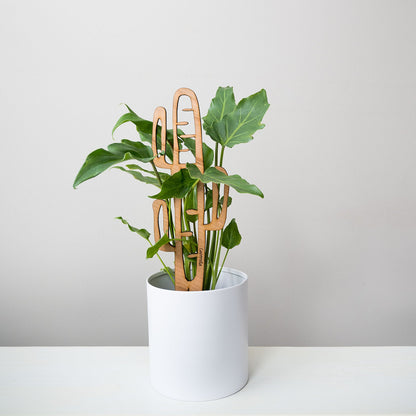 Wholesale Partner: Treleaf - Cactrella - Plant trellis inspired by the Barrel Cactus