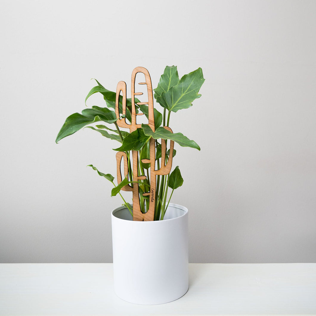 Wholesale Partner: Treleaf - Cactrella - Plant trellis inspired by the Barrel Cactus