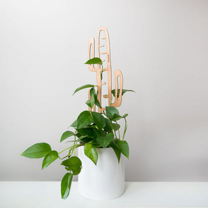 Wholesale Partner: Treleaf - Cactrella - Plant trellis inspired by the Barrel Cactus