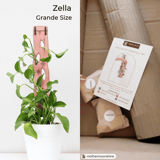 Wholesale Partner: Treleaf - Zella - Wooden Extendable Plant Support