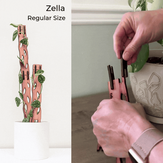 Wholesale Partner: Treleaf - Zella - Wooden Extendable Plant Support
