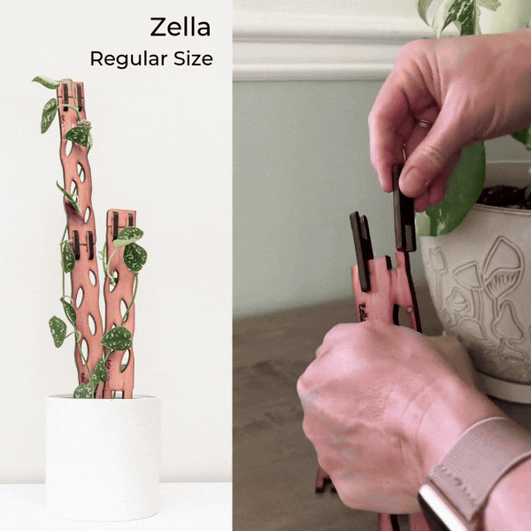 Wholesale Partner: Treleaf - Zella - Wooden Extendable Plant