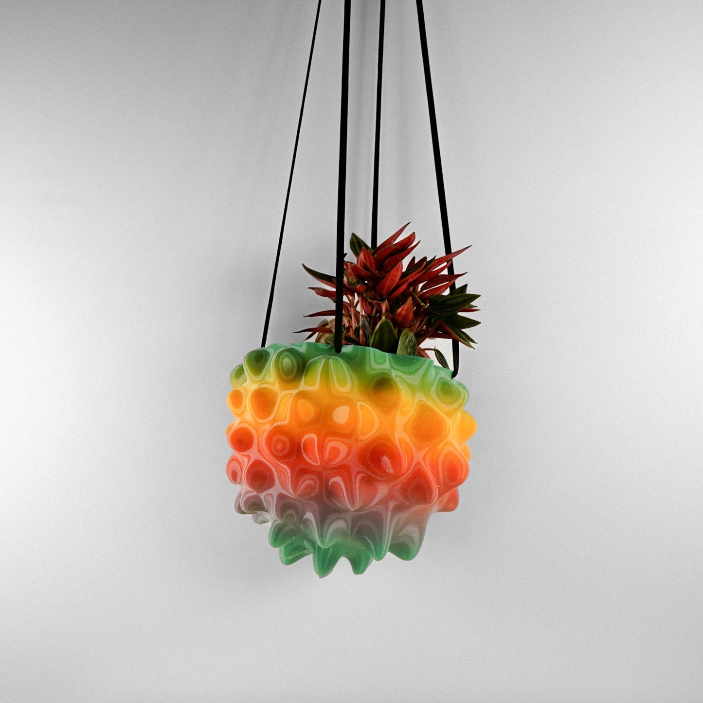 Wholesale Partner: Rosebud HomeGoods - The Creature Orb Hanging Planter Pot With Drainage