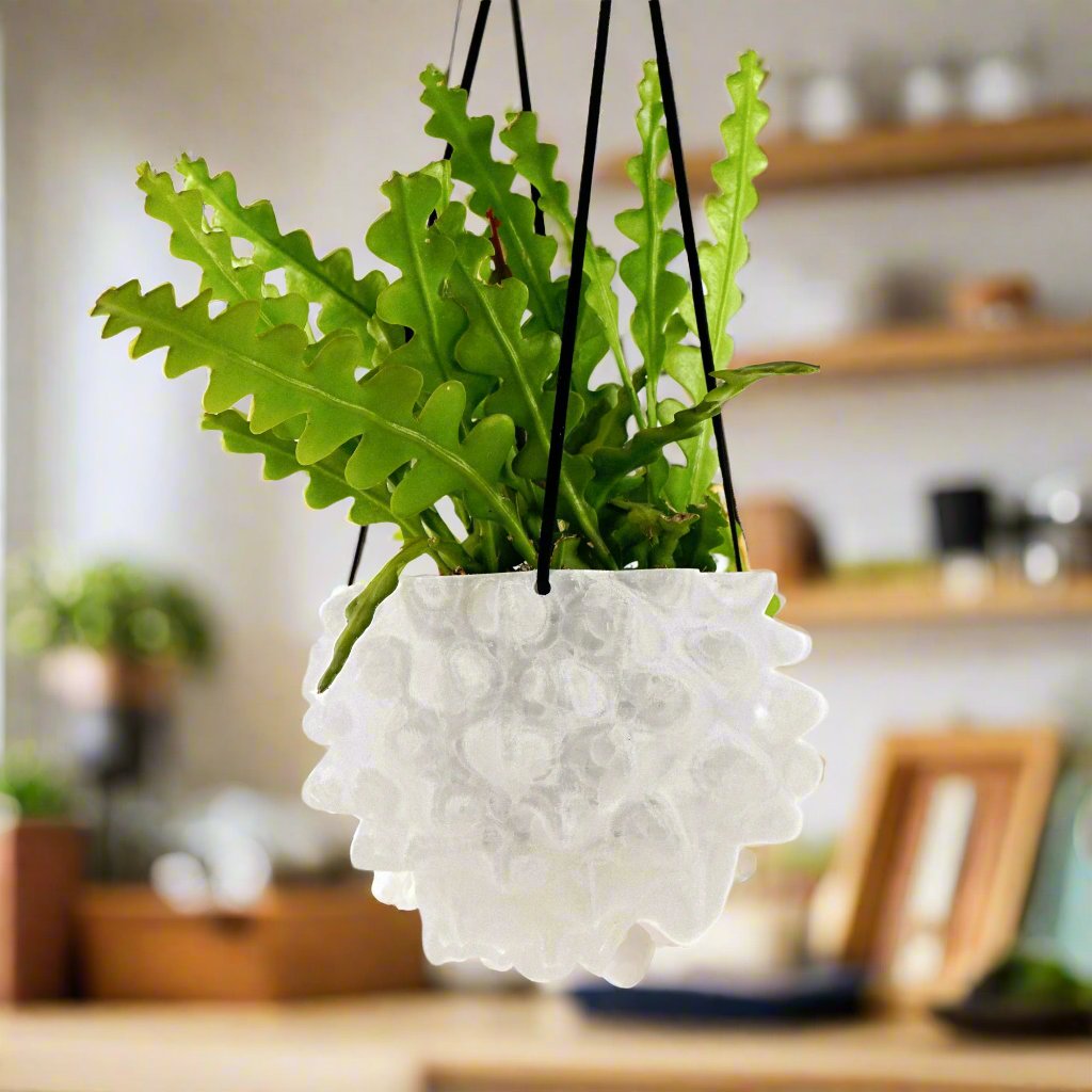 hanging plant pots wholesale Wholesale Partner: Rosebud HomeGoods