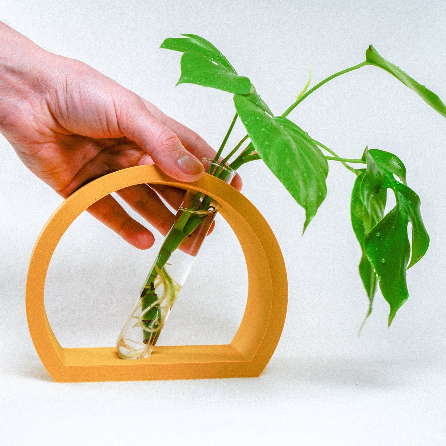 Wholesale Partner: Rosebud HomeGoods - Half-Moon Propagation Station