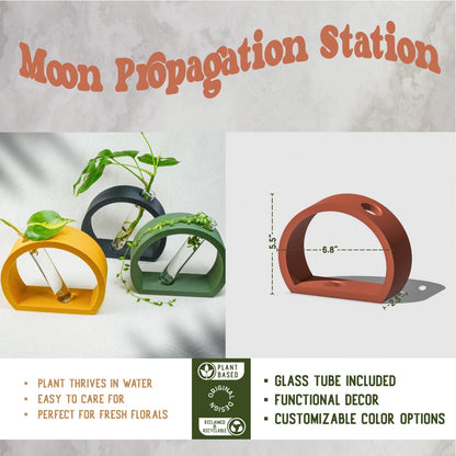 Wholesale Partner: Rosebud HomeGoods - Half-Moon Propagation Station