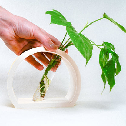 Wholesale Partner: Rosebud HomeGoods - Half-Moon Propagation Station