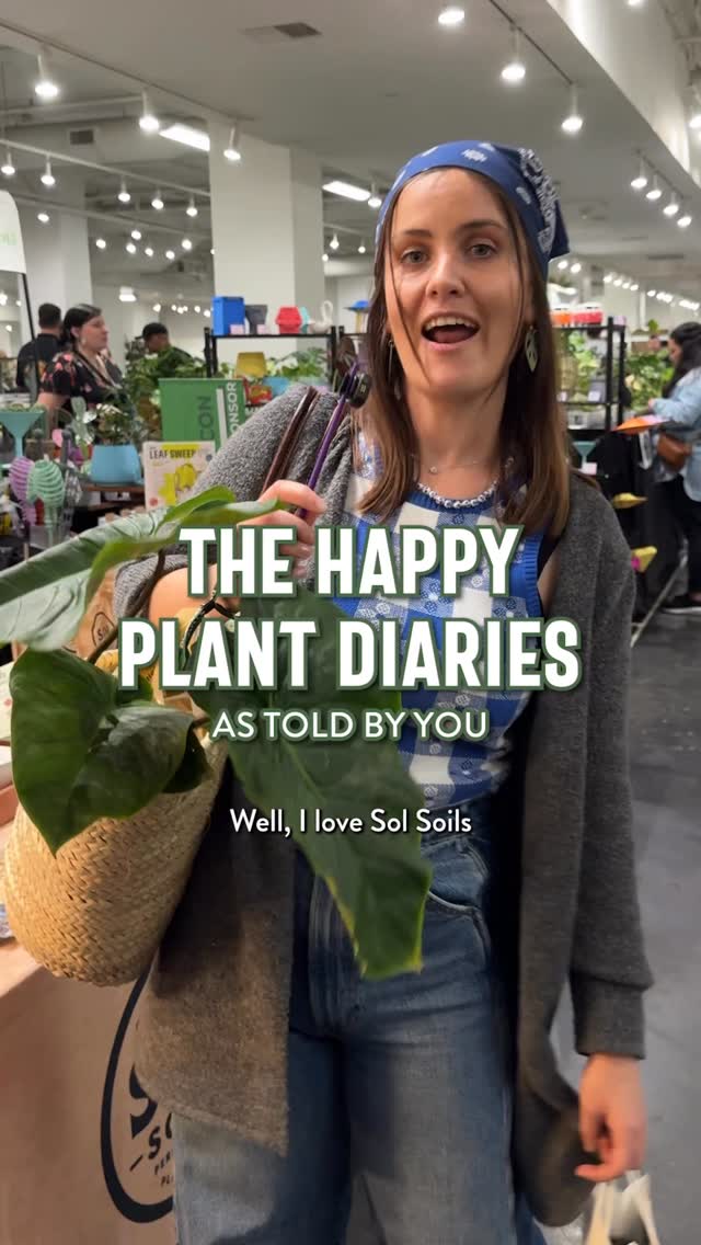 Wholesale Partner: Treleaf - Zella - Wooden Extendable Plant