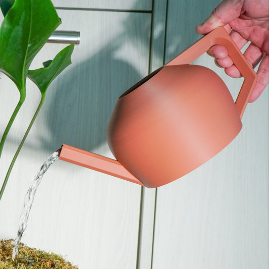 Wholesale Partner: Rosebud HomeGoods - HydraMate Modern Watering Can for Houseplants