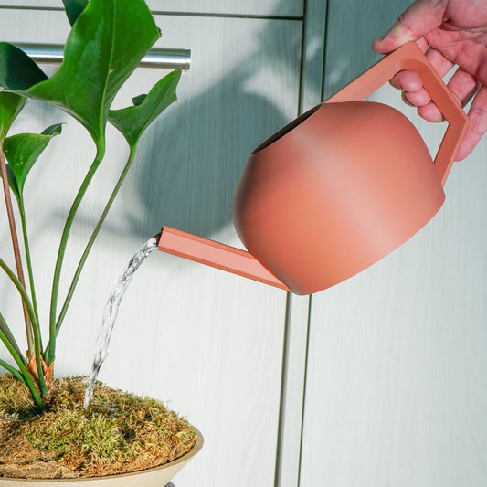 Wholesale Partner: Rosebud HomeGoods - HydraMate Modern Watering Can for Houseplants