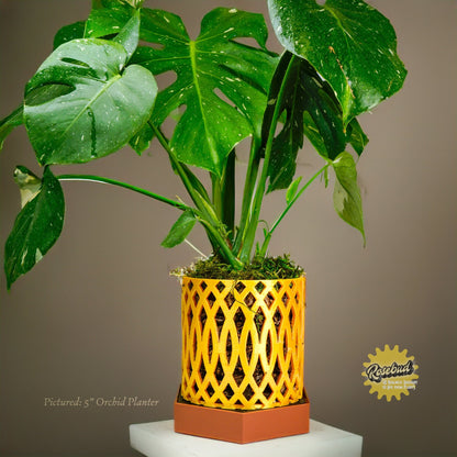 Wholesale Partner: Rosebud HomeGoods - Water Humidity Tray for Houseplants (Includes Pebbles)