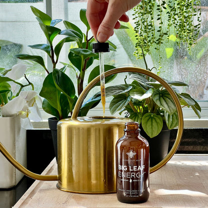 Wholesale Partner: Bless Your Soil - Pest Drops