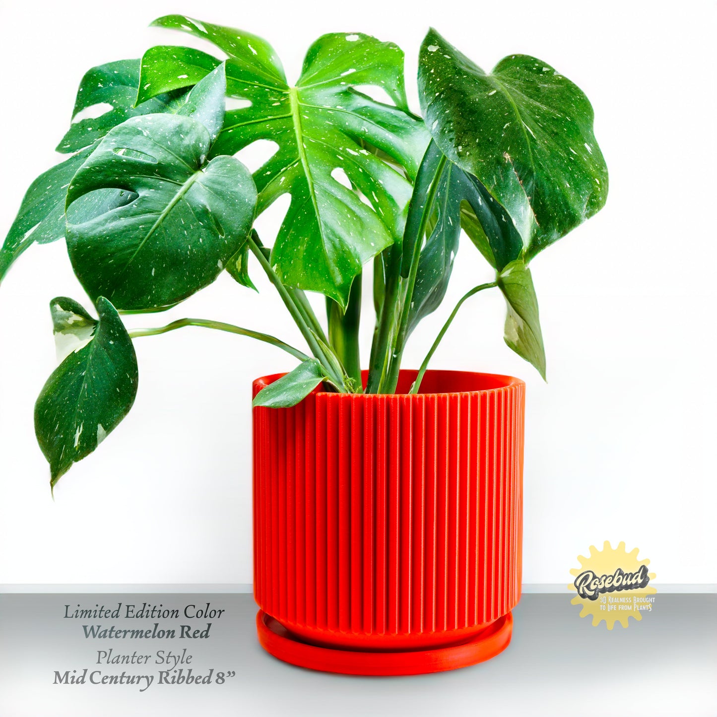 Wholesale Partner: Rosebud HomeGoods - Mid-Century Ribbed Planter